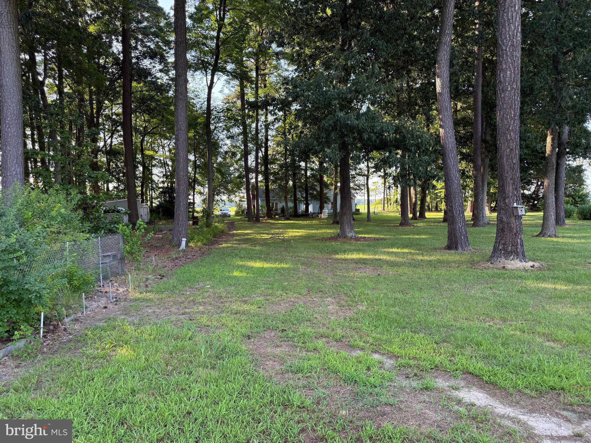 2103 Church Creek Road Cambridge, MD 21613 - Photo 14 of 39 Gallery Image 14