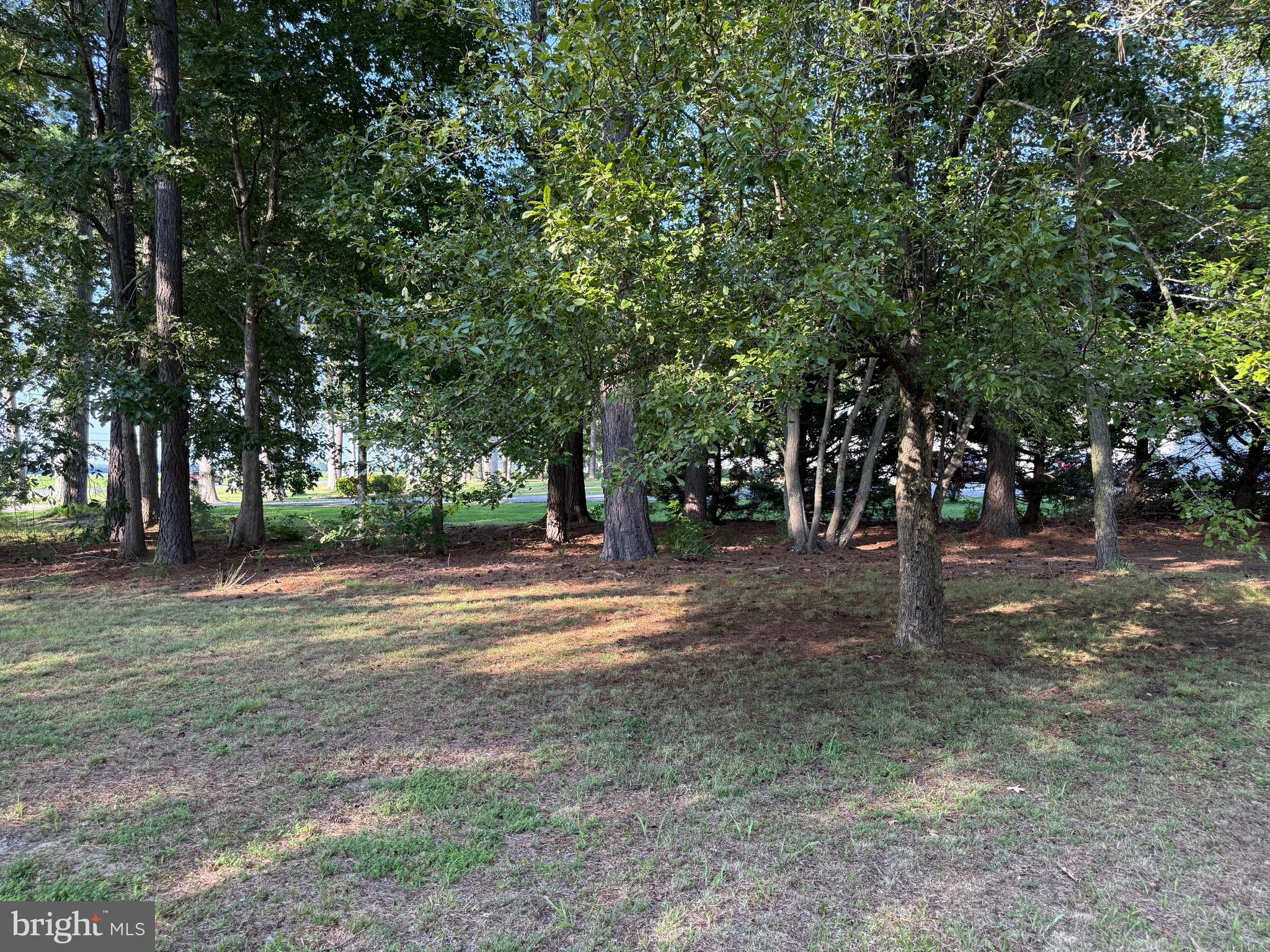 2103 Church Creek Road Cambridge, MD 21613 - Photo 17 of 39 Gallery Image 17