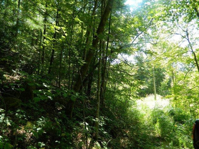 2 Cave Holw Road Campton, KY 41301 - Photo 23 of 25 Photo 23