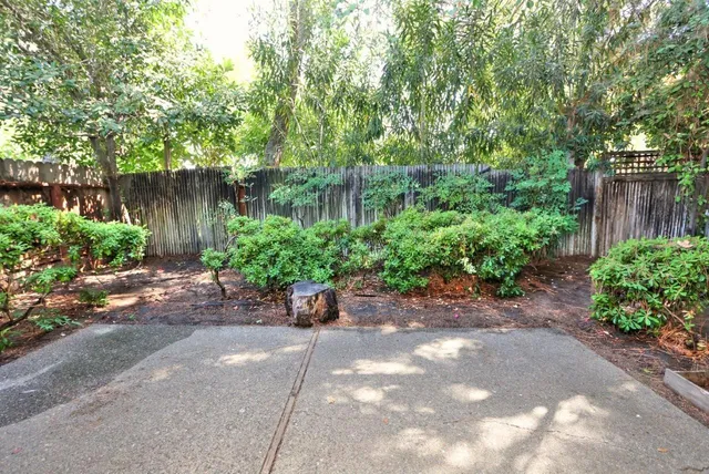a view of a street with potted plants and large trees