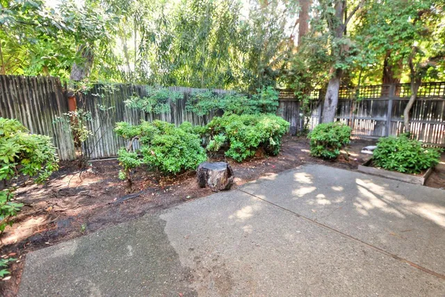 a view of a garden with large trees