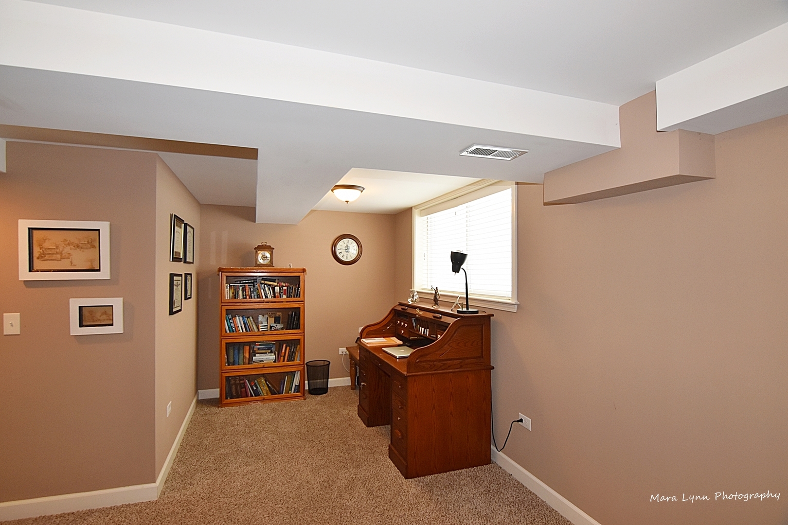 226 Hemlock Avenue Romeoville, IL 60446 - Photo 20 of 29 Gallery Image 20