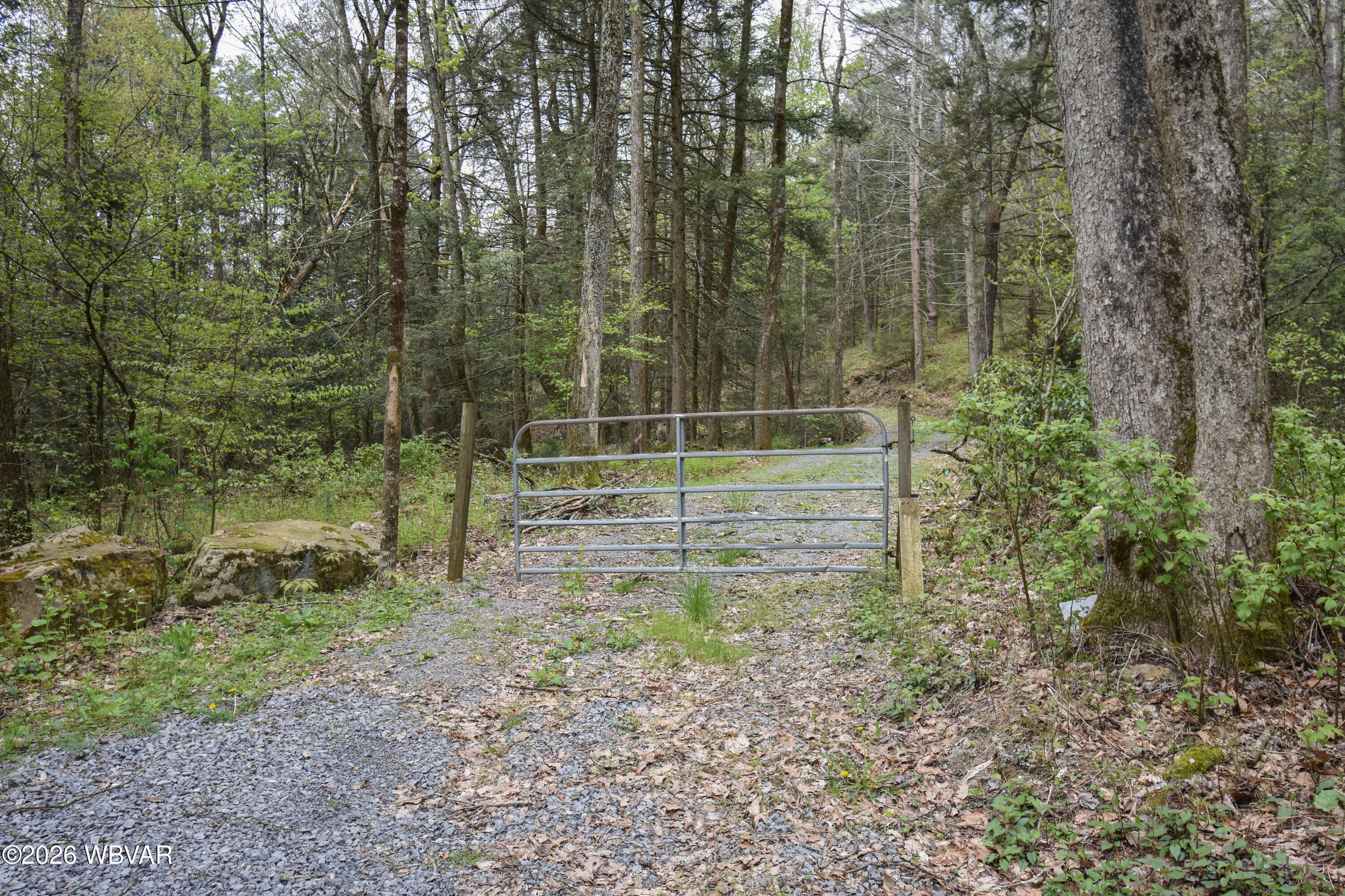 3597 East Valley Road Loganton, PA 17747 - Photo 83 of 85 DSC_0153