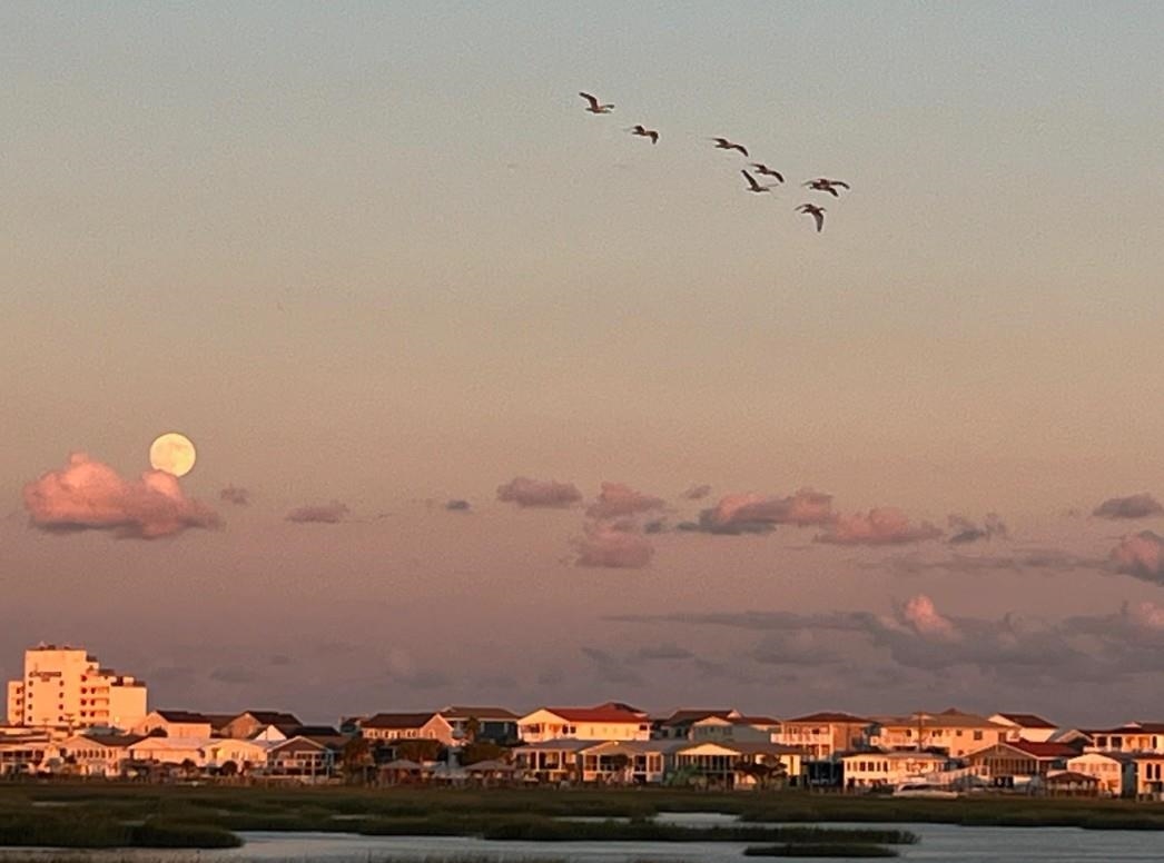 3111 State Rd S-26-816 Murrells Inlet, SC 29576 - Photo 66 of 78