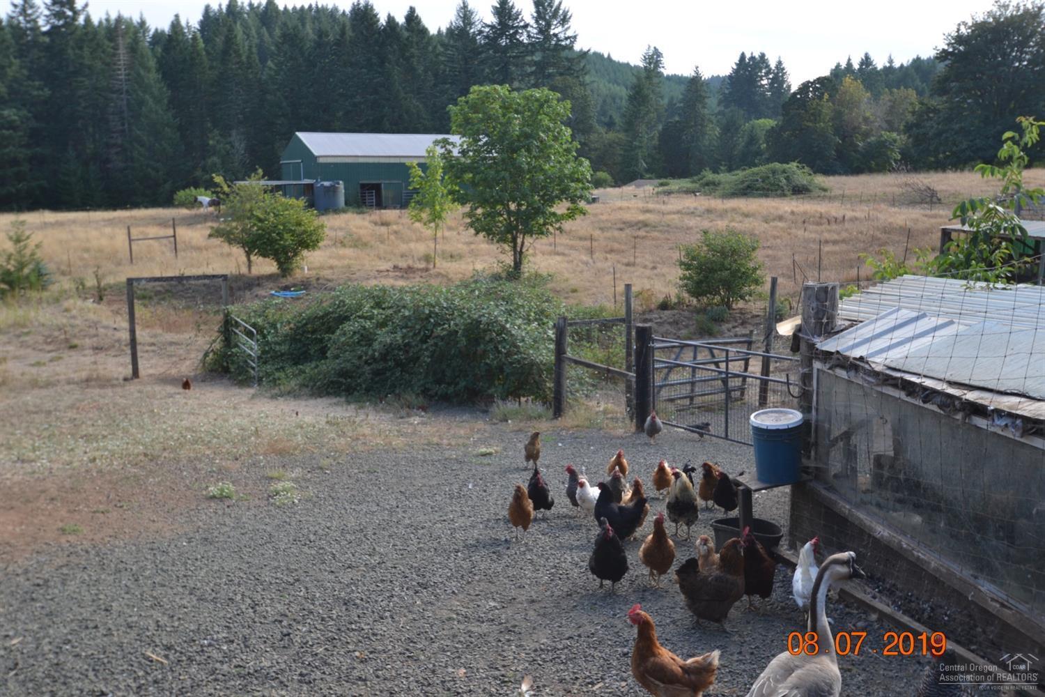 24322 Evergreen Road Philomath, OR 97370 - Photo 24 of 25 Additional Photo