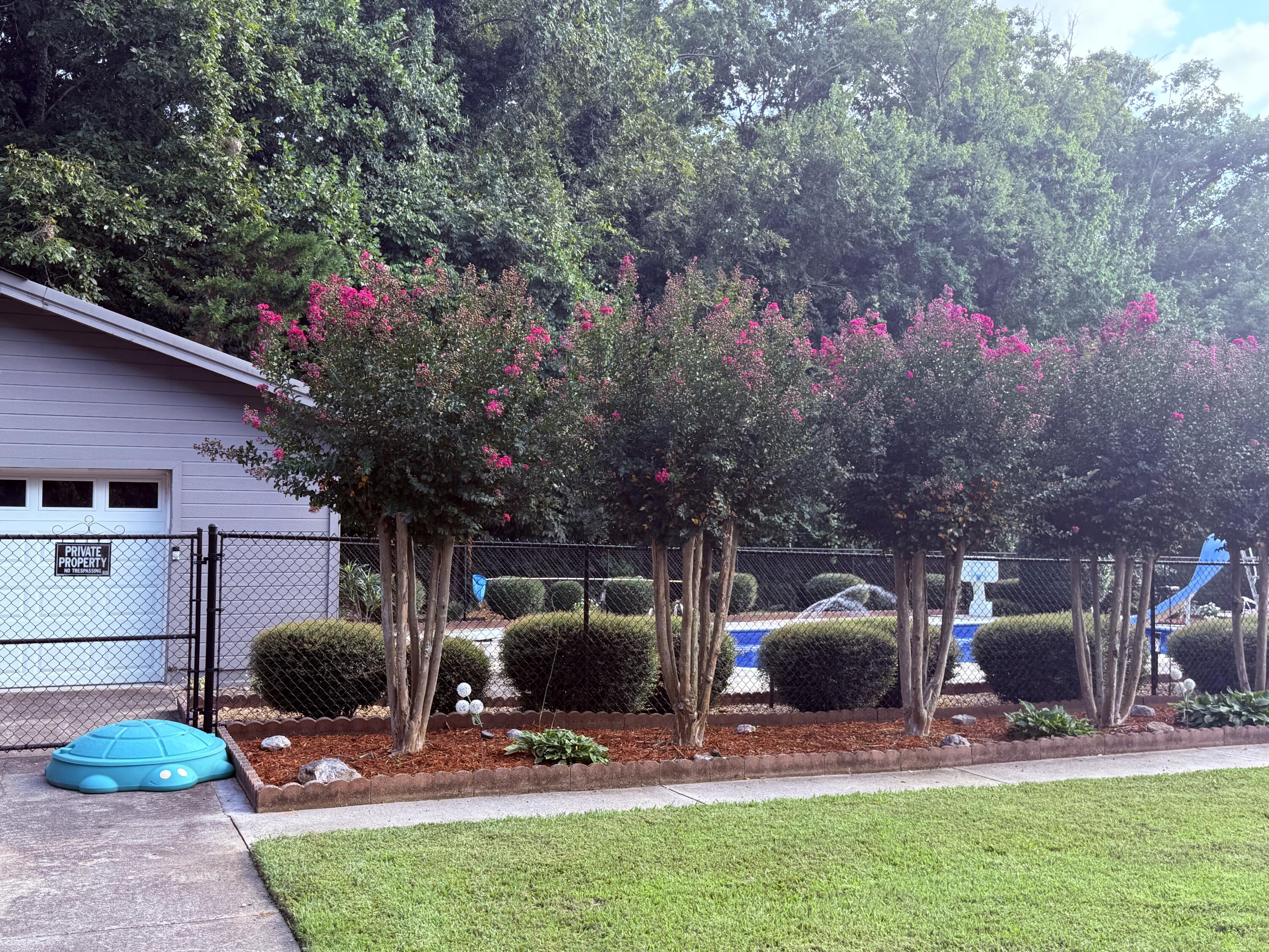 68 Scott Road Chatsworth, GA 30705 - Photo 3 of 4 Garage and Pool