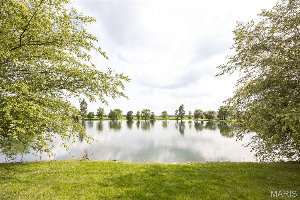 1129 Gulfstream Way Mascoutah, IL 62258 - Photo 26 of 27