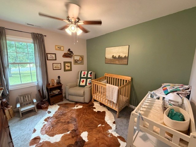 12945 Dawson Springs Road Crofton, KY 42217 - Photo 16 of 38