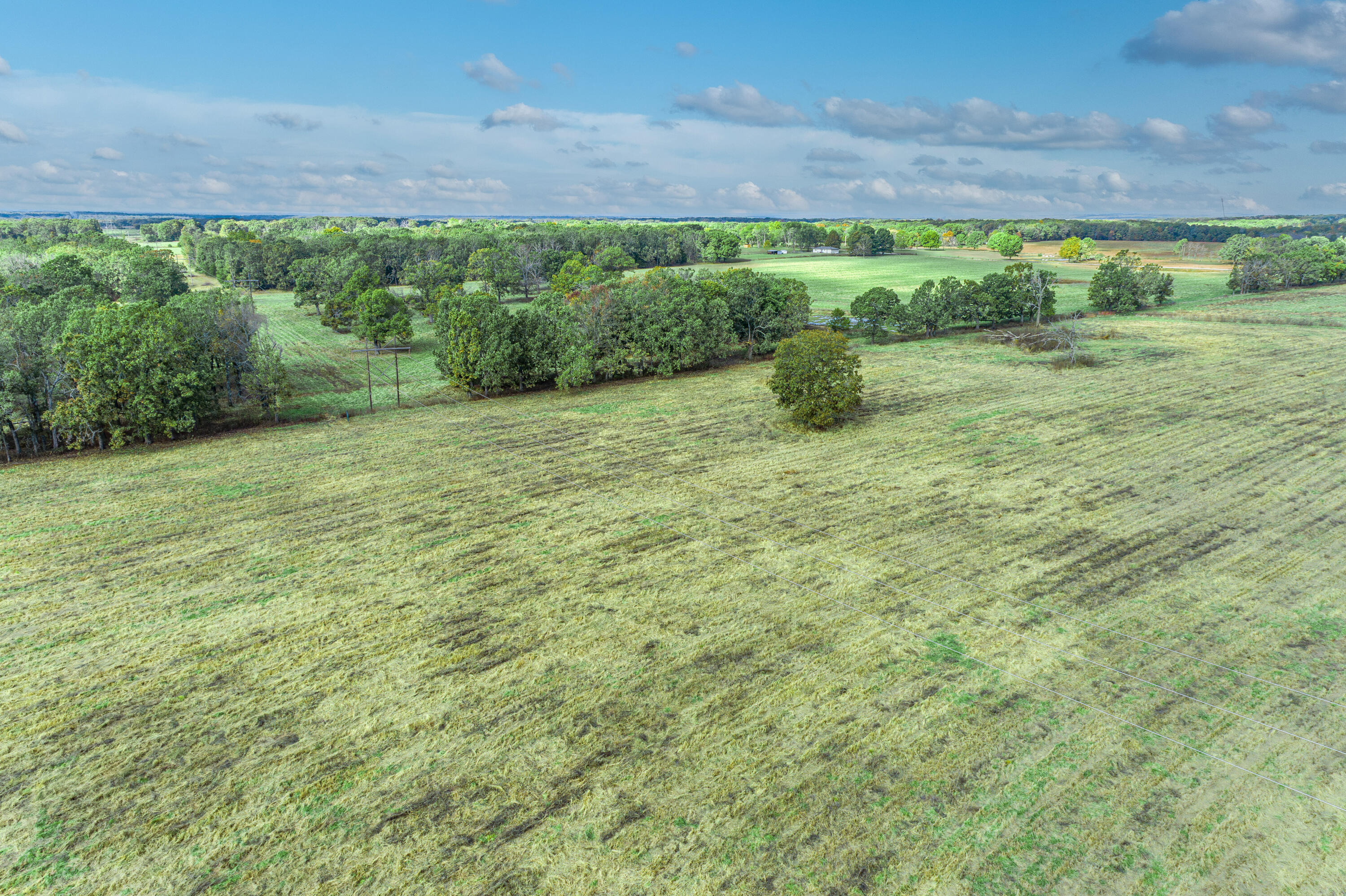 2288 Red Oak Road Fordland, MO 65652 - Photo 35 of 37 2288 Red Oak Rd-37