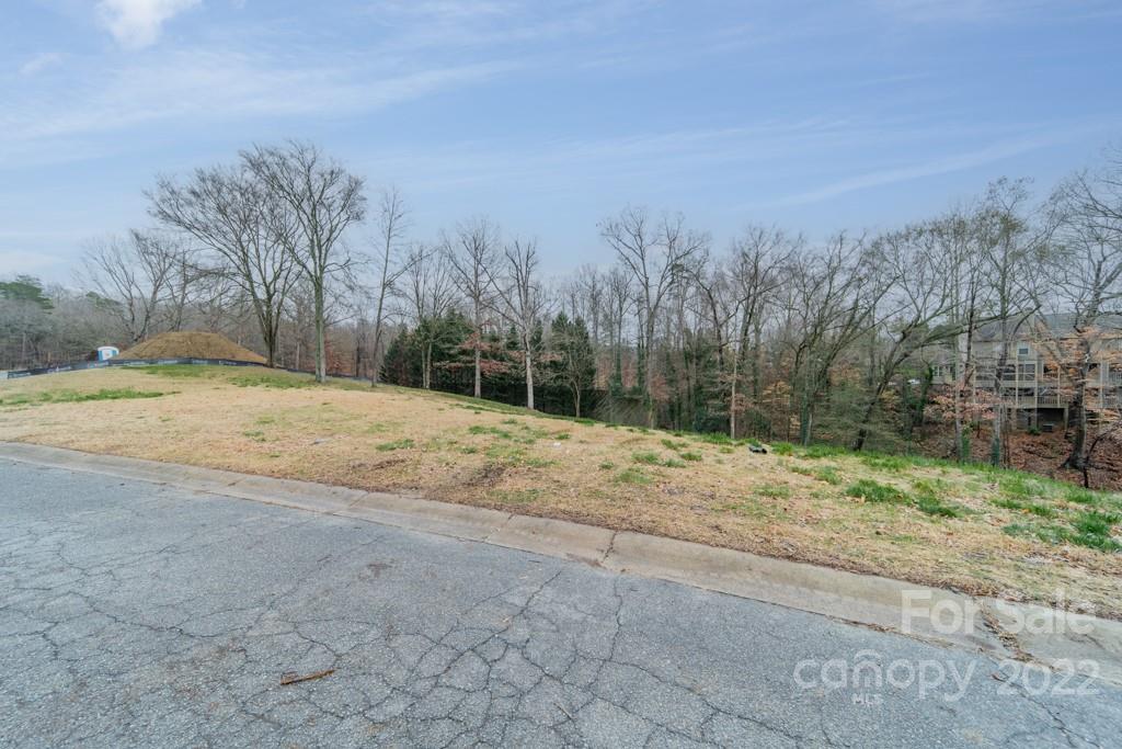 14007 Point Lookout Road Charlotte, NC 28278 - Photo 17 of 19 a view of a yard with snow on the road