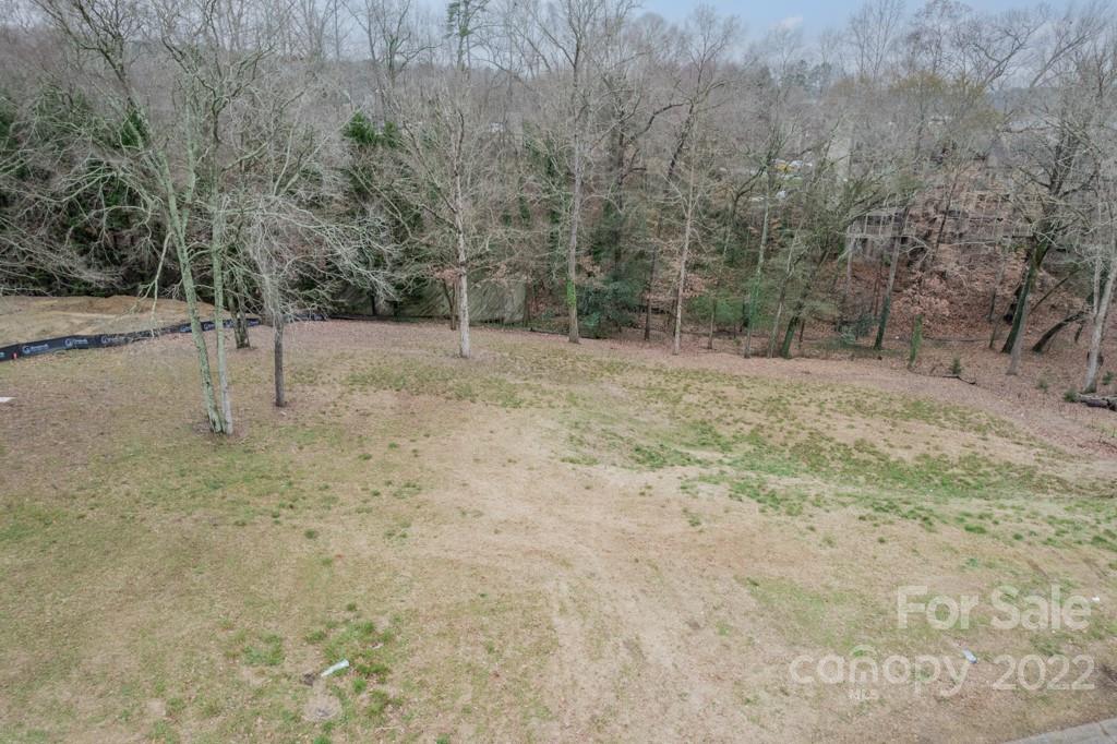 14007 Point Lookout Road Charlotte, NC 28278 - Photo 3 of 19 a view of a yard with a tree