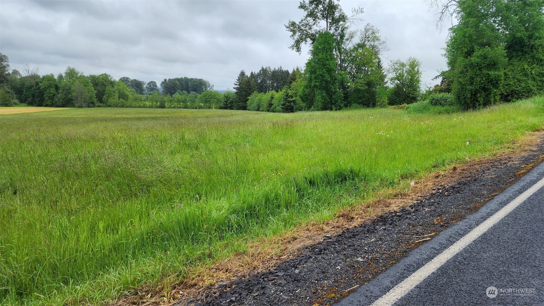 229 Rogers Road Chehalis, WA 98532 - Photo 2 of 21 a view of field with trees in the background