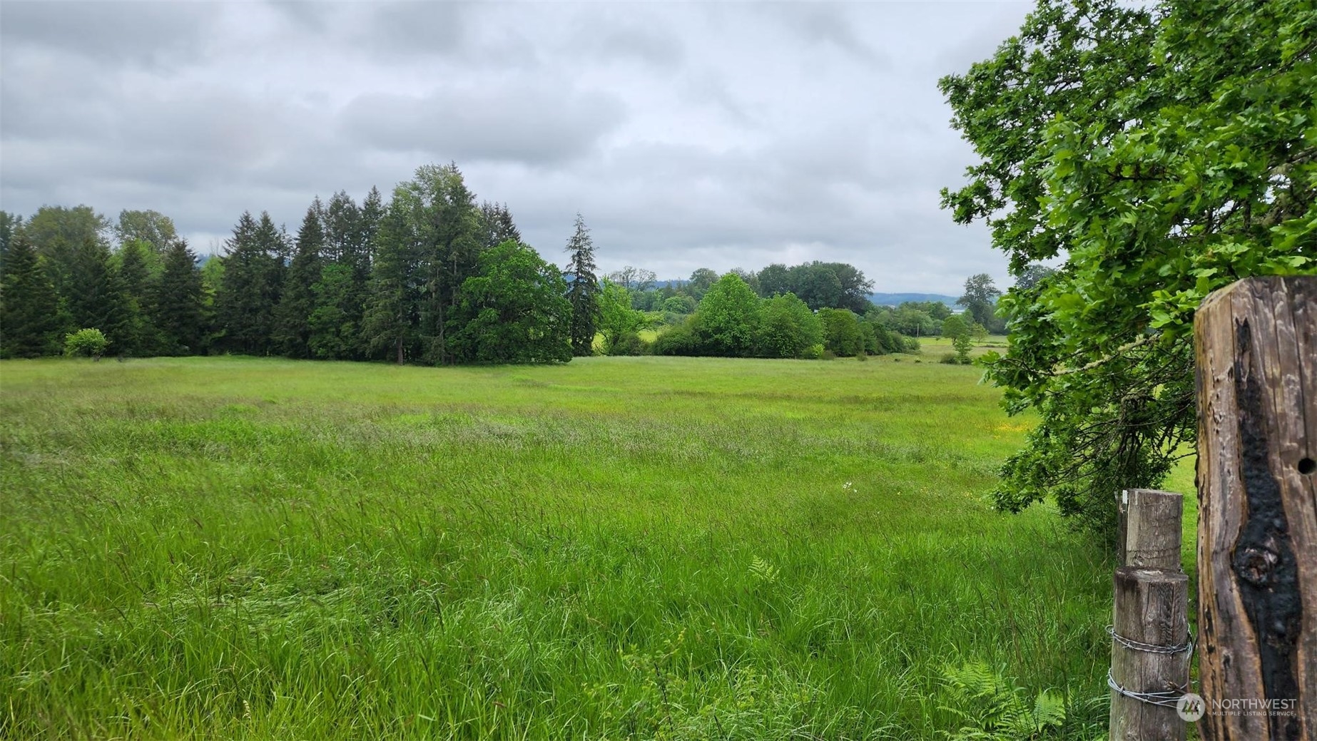 229 Rogers Road Chehalis, WA 98532 - Photo 3 of 21 a view of a field with trees in the background