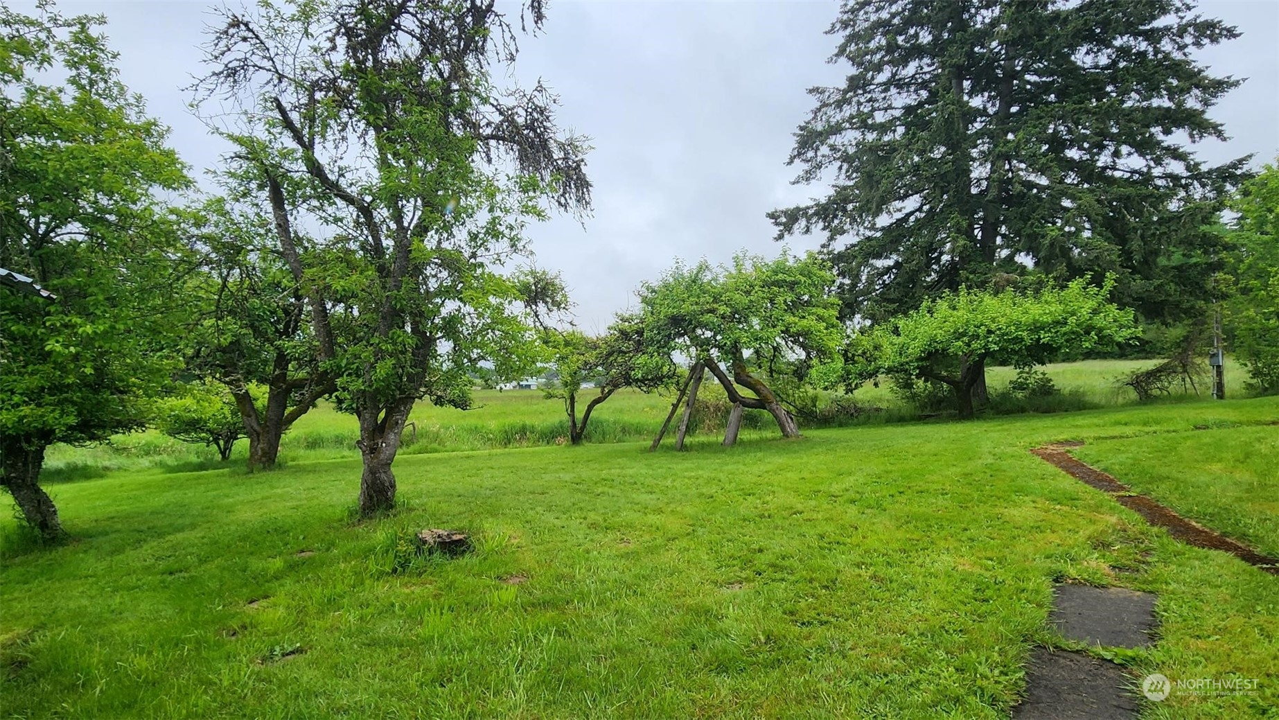 229 Rogers Road Chehalis, WA 98532 - Photo 4 of 21 a view of an trees with a tree