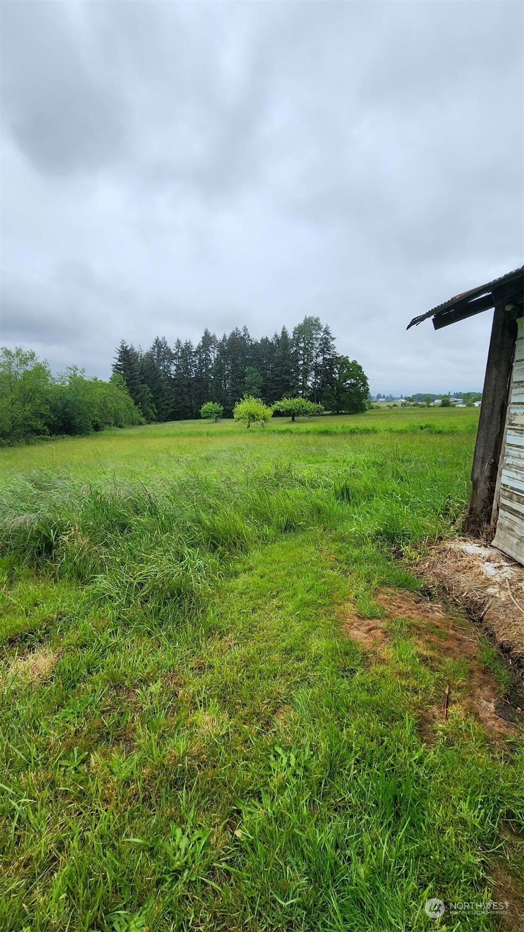 229 Rogers Road Chehalis, WA 98532 - Photo 5 of 21 a view of an outdoor space and yard