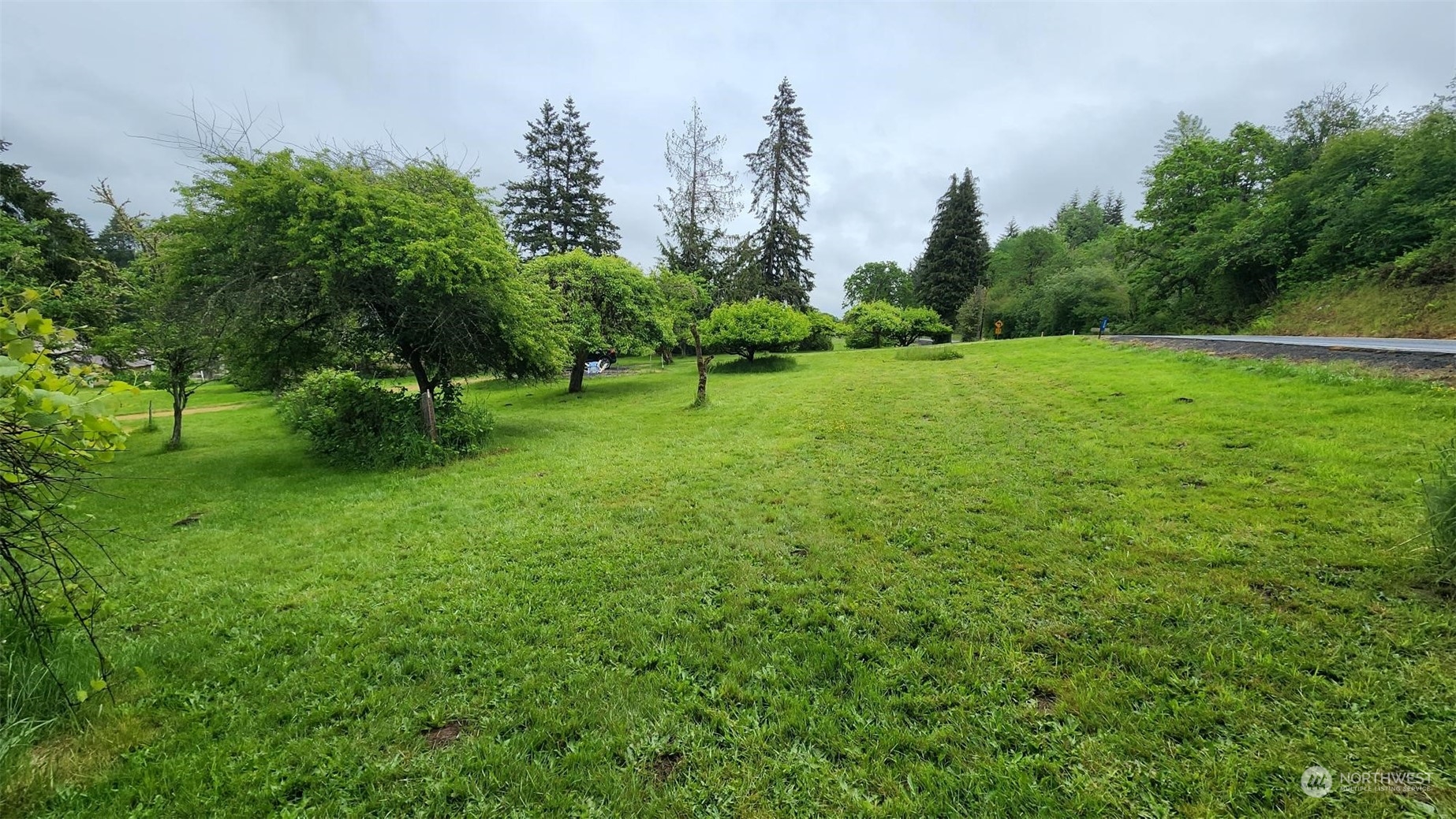 229 Rogers Road Chehalis, WA 98532 - Photo 6 of 21