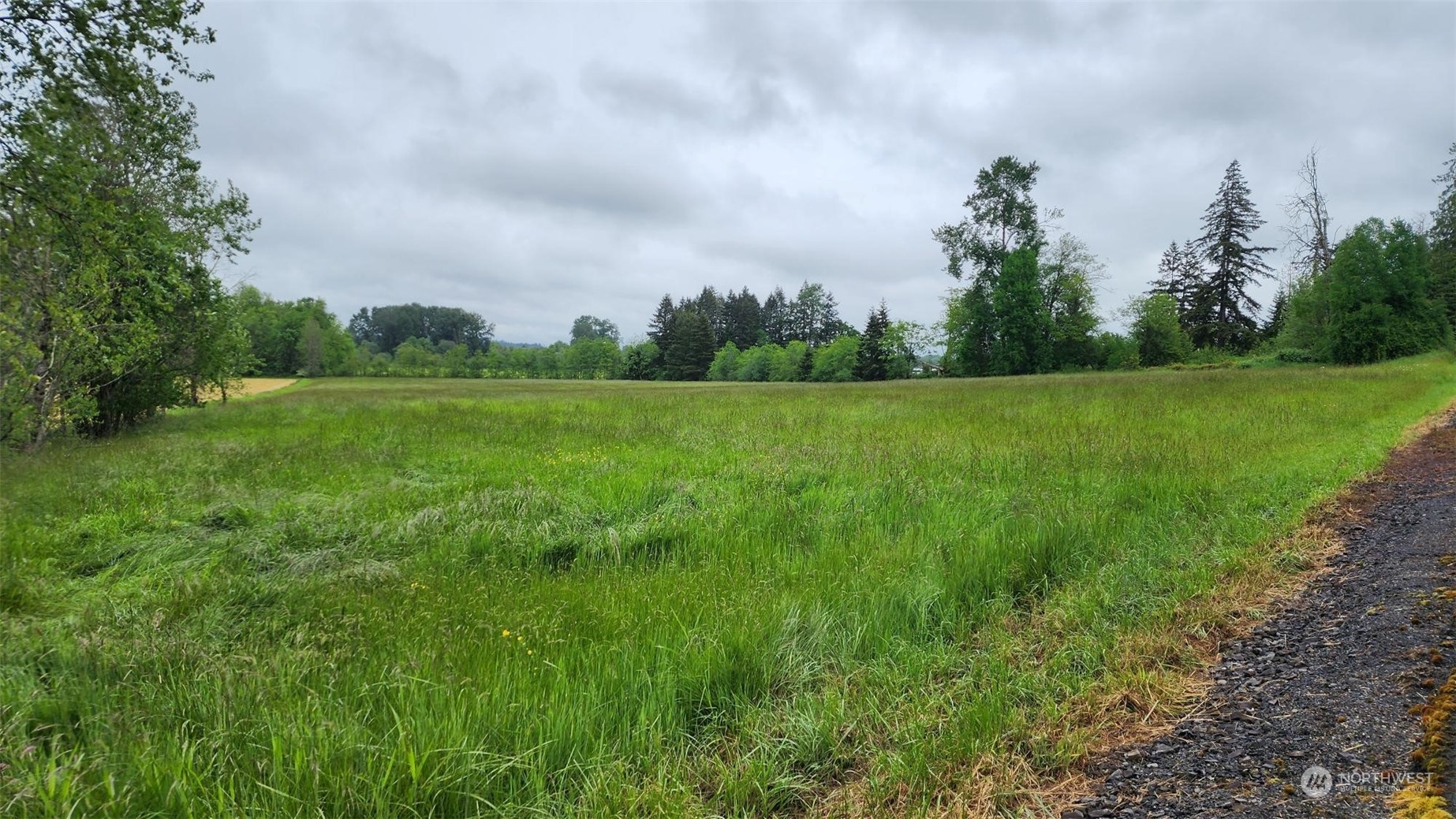 229 Rogers Road Chehalis, WA 98532 - Photo 8 of 21 a view of field with trees in the background