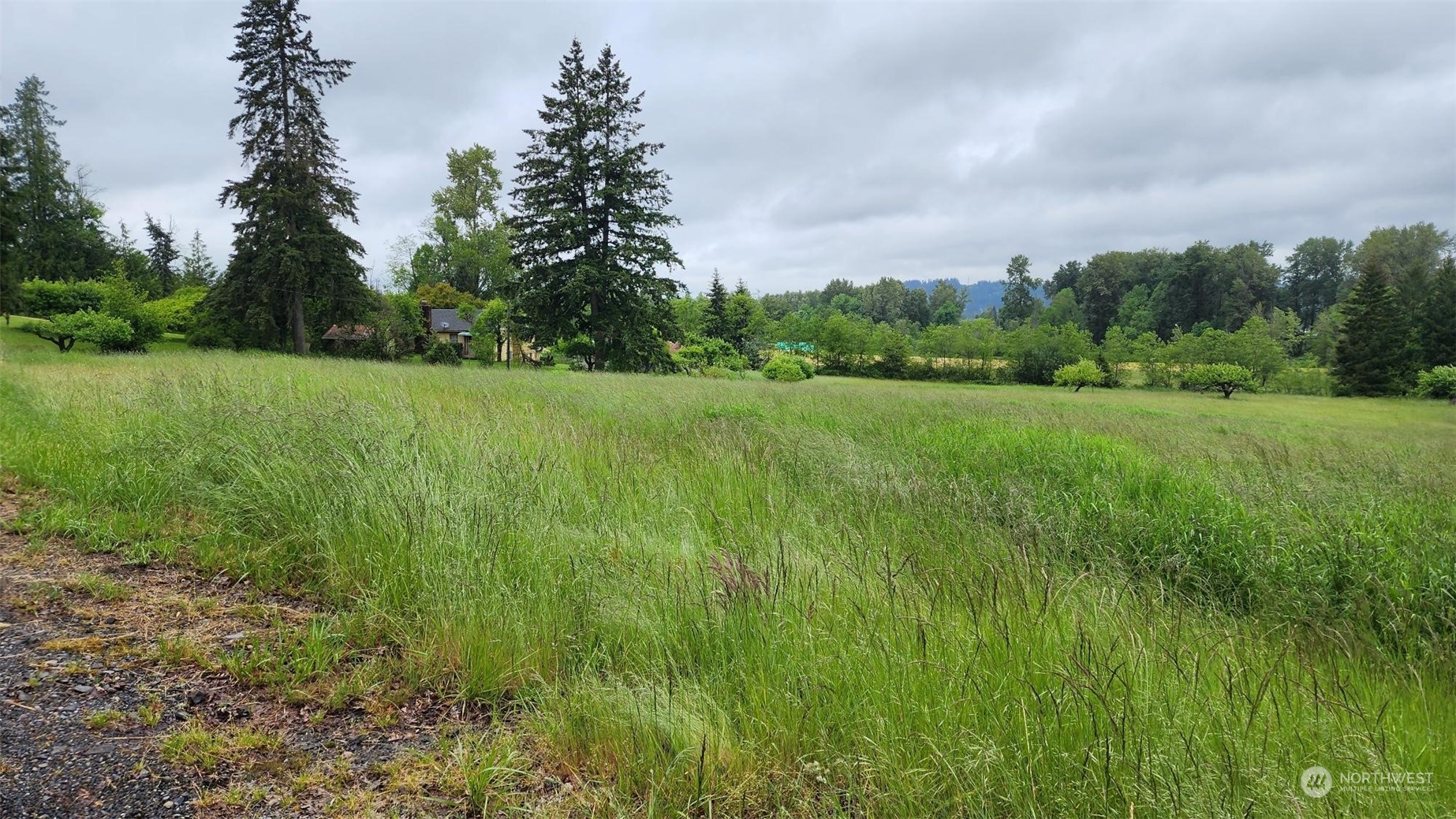 229 Rogers Road Chehalis, WA 98532 - Photo 9 of 21 a view of an outdoor space and a yard