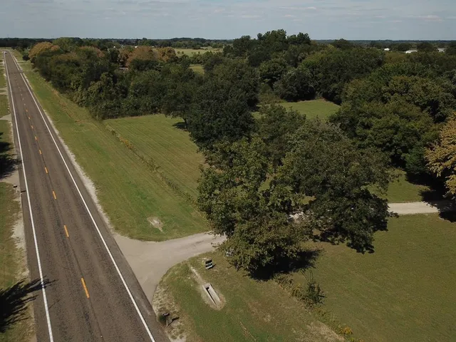 a view of a yard with trees