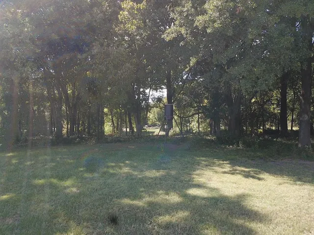 $685,000 | 1482 Farm To Market Road 667, Purdon, TX 76679