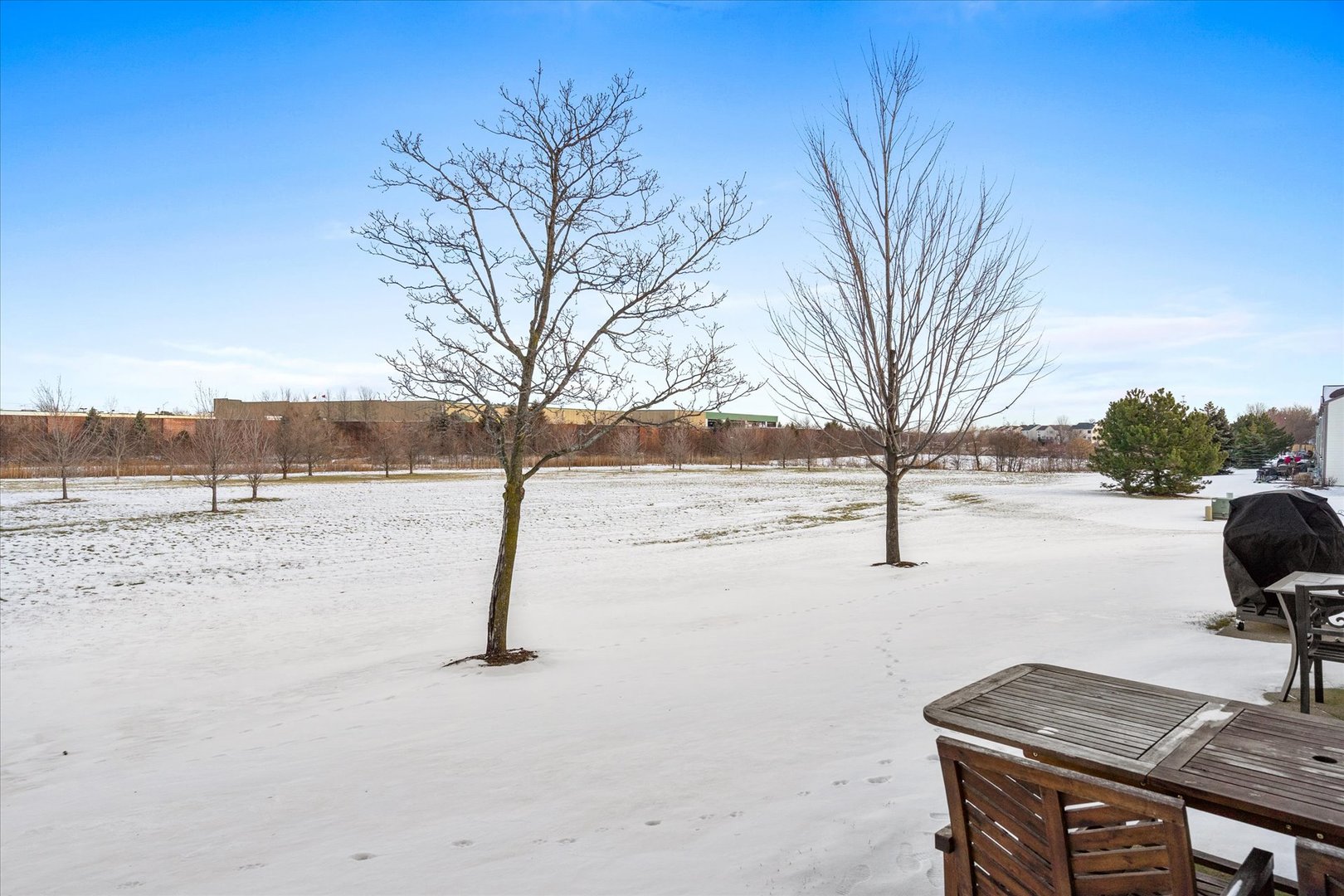 2609 Carrolwood Road, Unit 2609 Naperville, IL 60540 - Photo 17 of 17 a view of outdoor space with city view