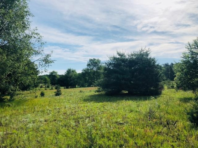 6984 Old State Road Stanwood, MI 49346 - Photo 11 of 26 IMG_4938