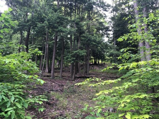 6984 Old State Road Stanwood, MI 49346 - Photo 15 of 26 Rolling terrain