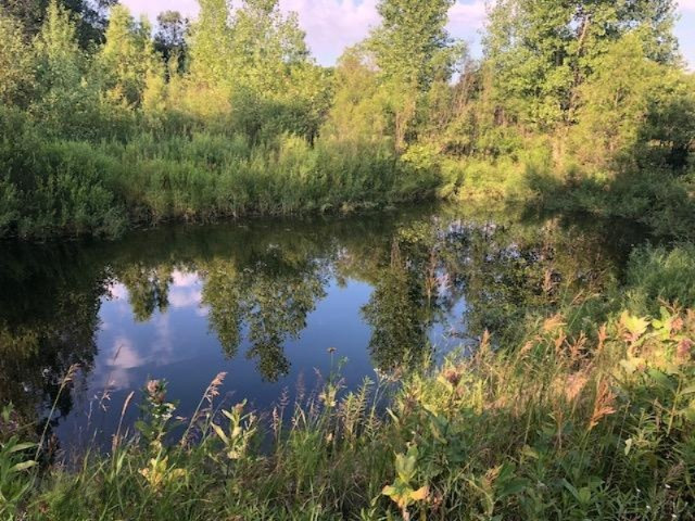6984 Old State Road Stanwood, MI 49346 - Photo 2 of 26 Pond near pole barn