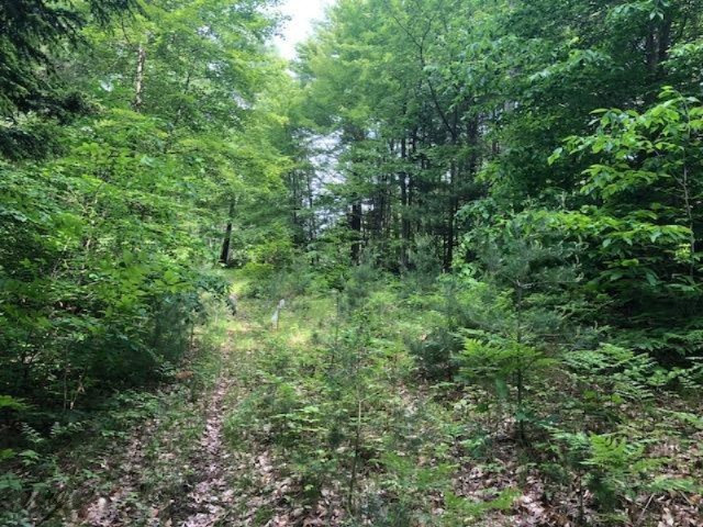 6984 Old State Road Stanwood, MI 49346 - Photo 21 of 26 IMG_4949