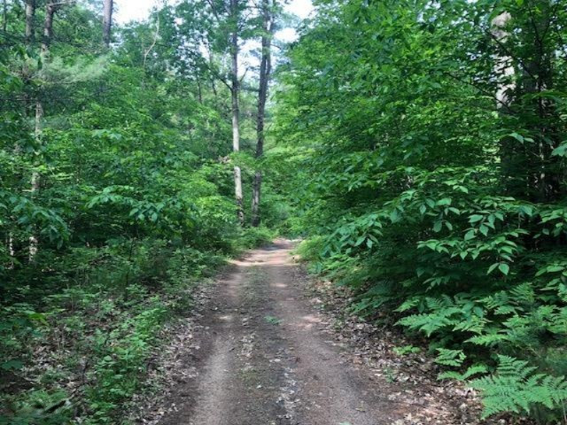 6984 Old State Road Stanwood, MI 49346 - Photo 22 of 26 IMG_4951