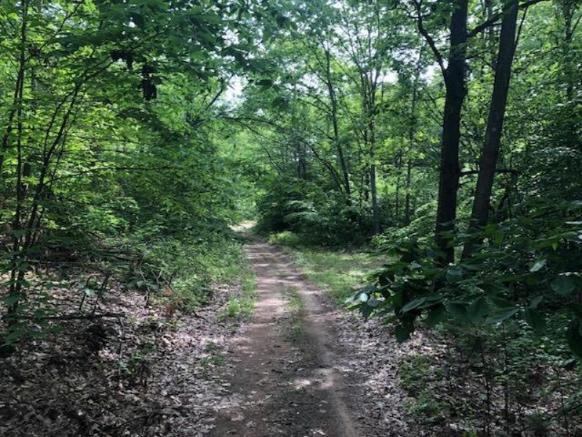 6984 Old State Road Stanwood, MI 49346 - Photo 23 of 26 IMG_4952