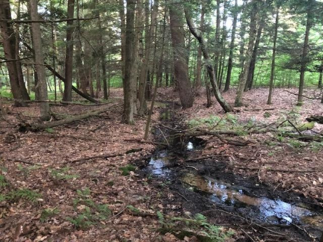 6984 Old State Road Stanwood, MI 49346 - Photo 25 of 26 Stream