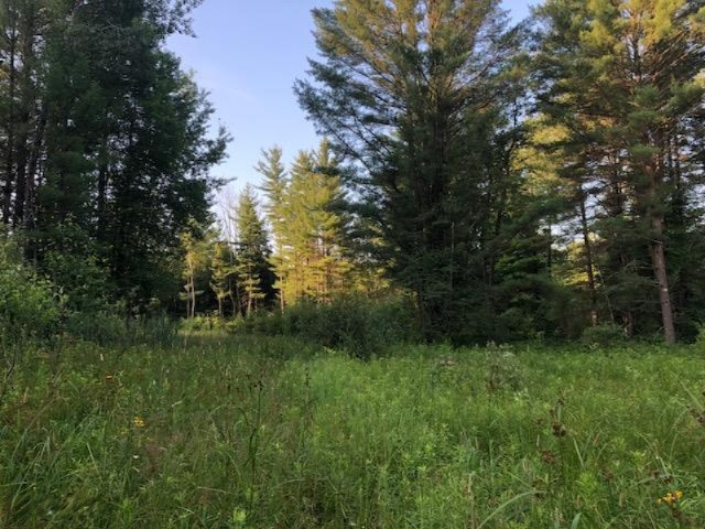 6984 Old State Road Stanwood, MI 49346 - Photo 26 of 26 Potential food plot area