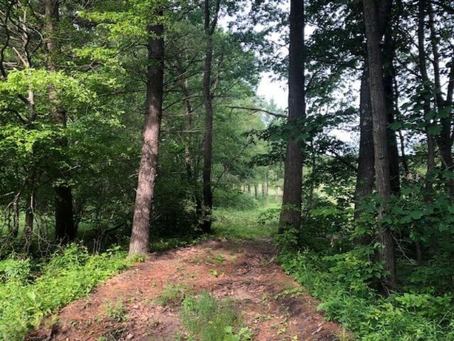 6984 Old State Road Stanwood, MI 49346 - Photo 10 of 26 IMG_4940