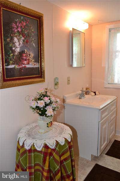 15020 Hicksville Road Clear Spring, MD 21722 - Photo 17 of 30 Bath (Master)