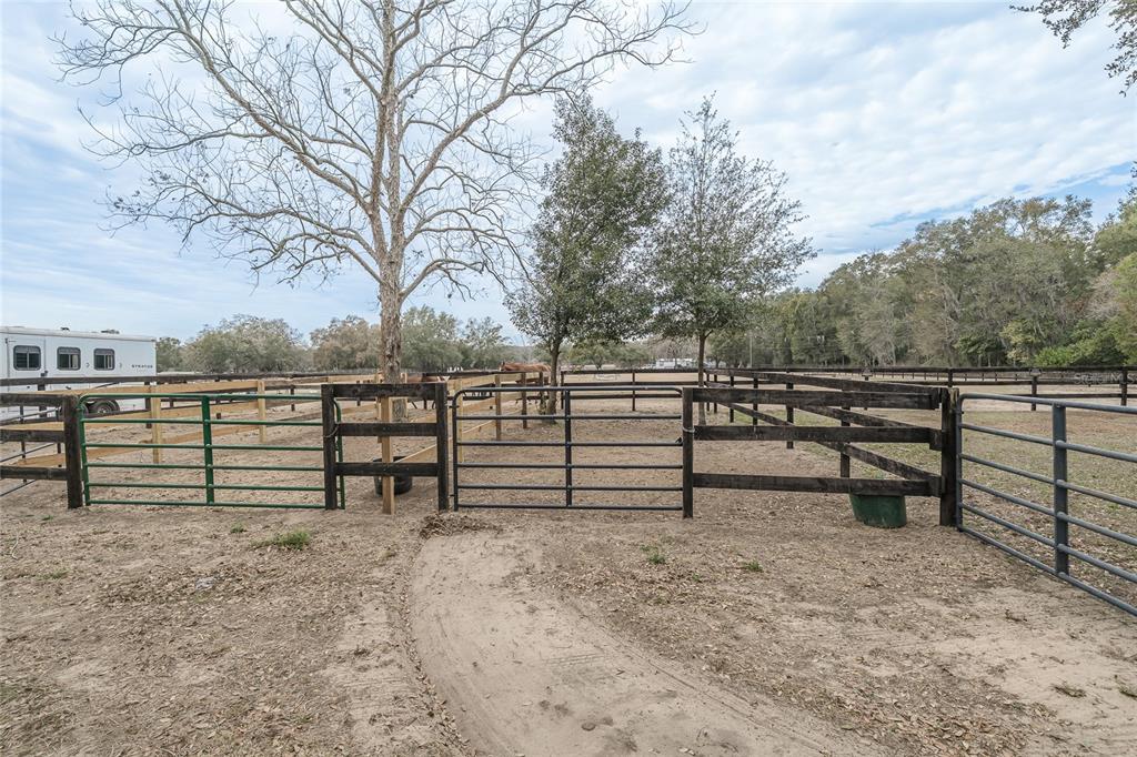 8540 Boyt Road Zephyrhills, FL 33540 - Photo 28 of 76