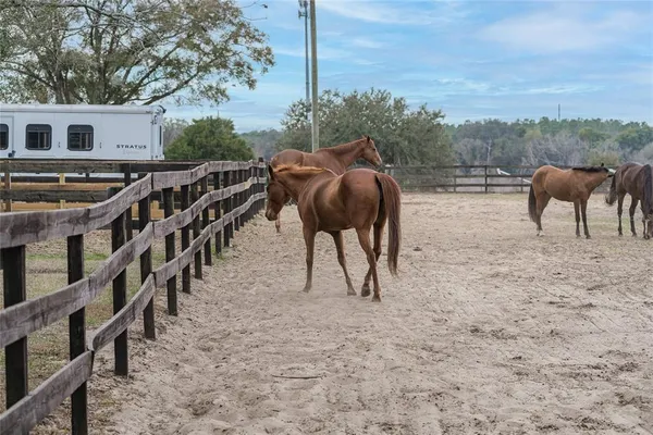 $3,500 | 8540 Boyt Road, Zephyrhills, FL 33540