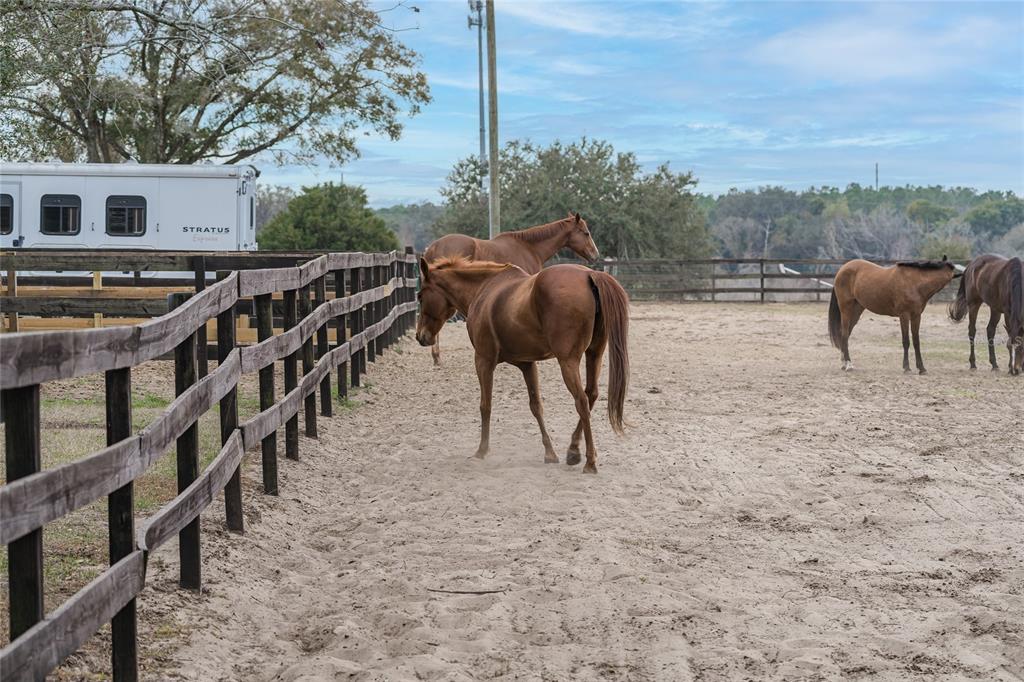 8540 Boyt Road Zephyrhills, FL 33540 - Photo 33 of 76