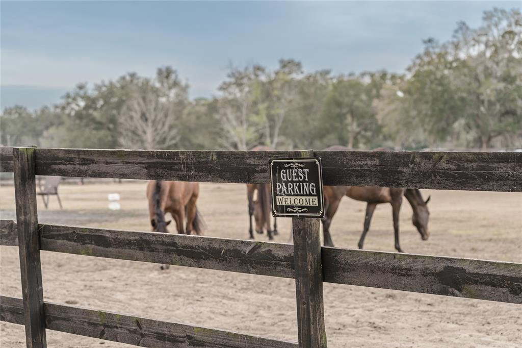 8540 Boyt Road Zephyrhills, FL 33540 - Photo 38 of 76
