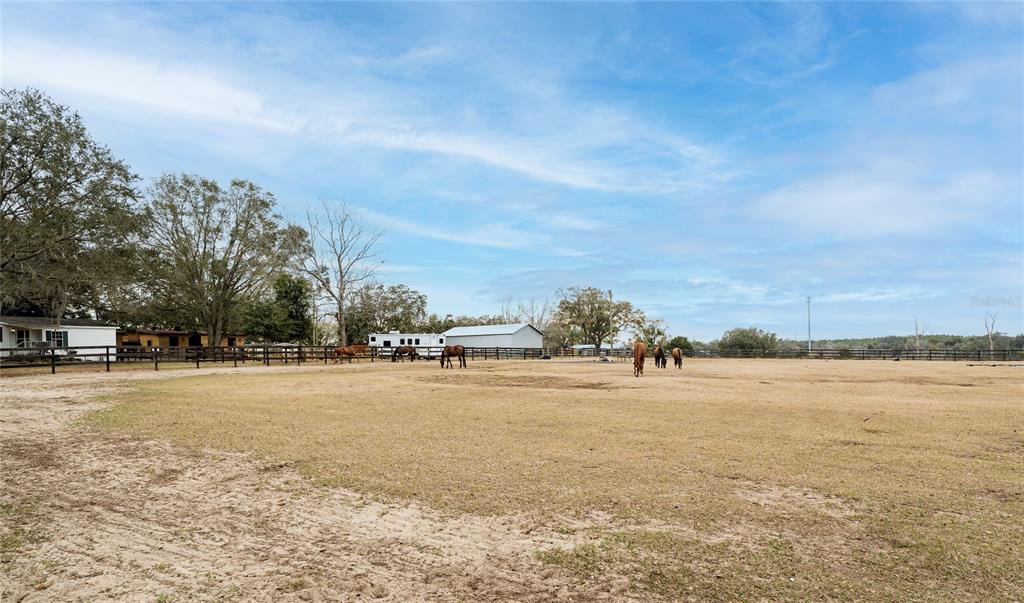 8540 Boyt Road Zephyrhills, FL 33540 - Photo 45 of 76