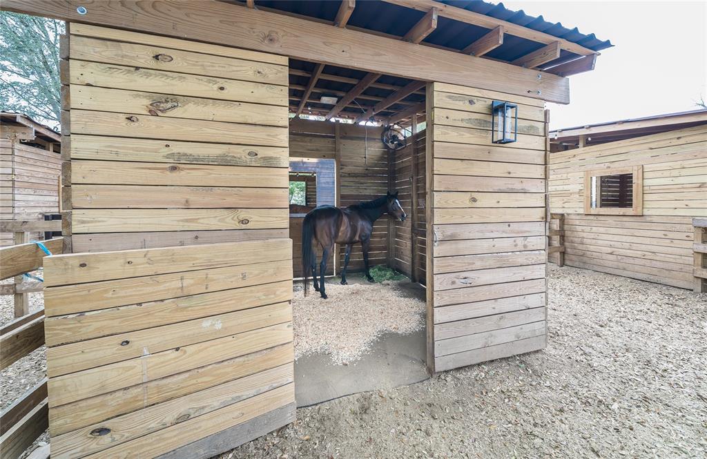 8540 Boyt Road Zephyrhills, FL 33540 - Photo 72 of 76