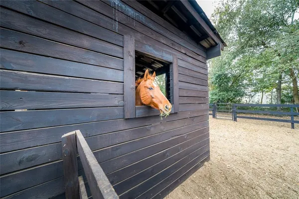 $3,500 | 8540 Boyt Road, Zephyrhills, FL 33540