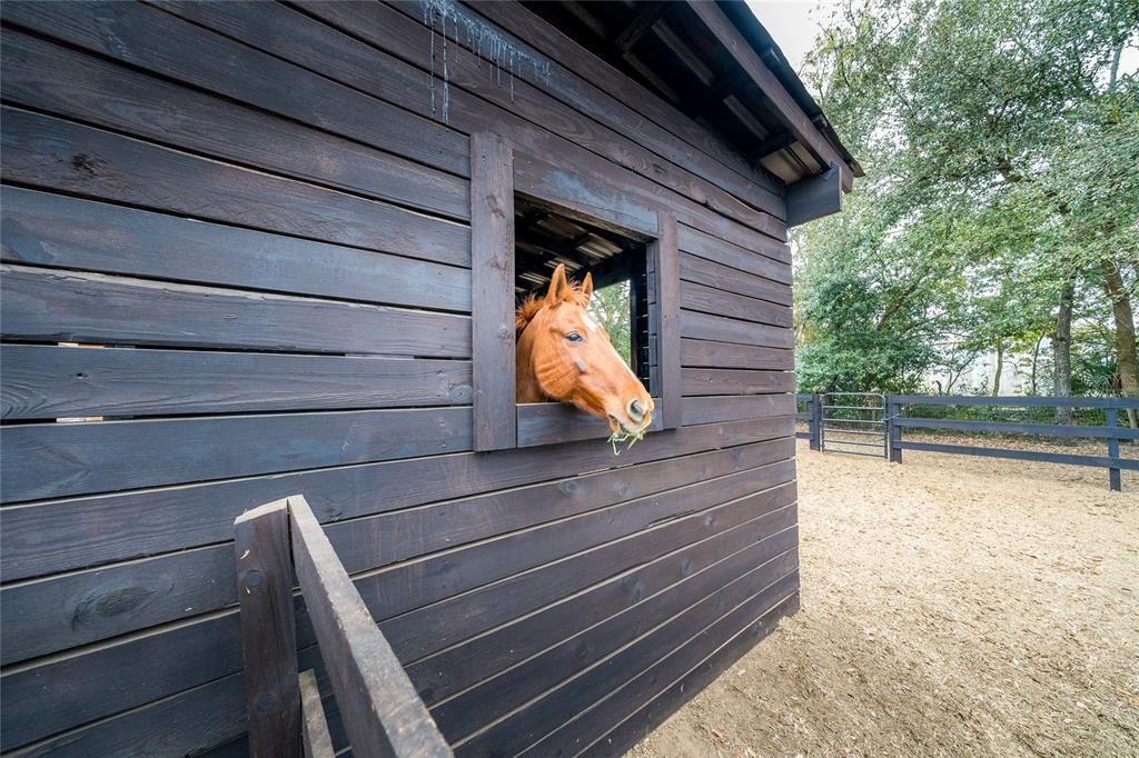 8540 Boyt Road Zephyrhills, FL 33540 - Photo 74 of 76