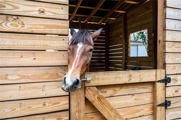 $3,500 | 8540 Boyt Road, Zephyrhills, FL 33540
