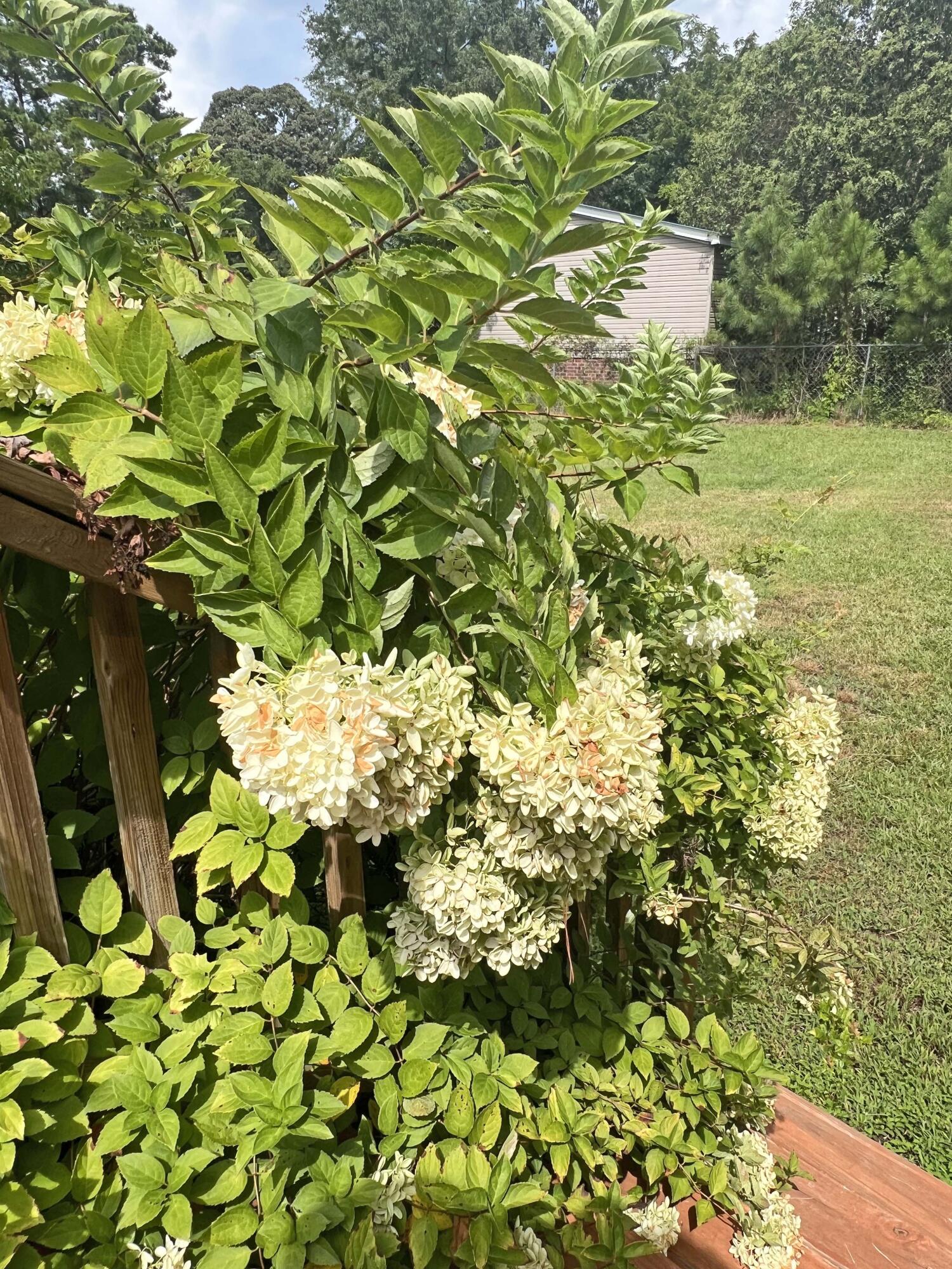 1156 West A. Gamble Road Manning, SC 29102 - Photo 16 of 51 17