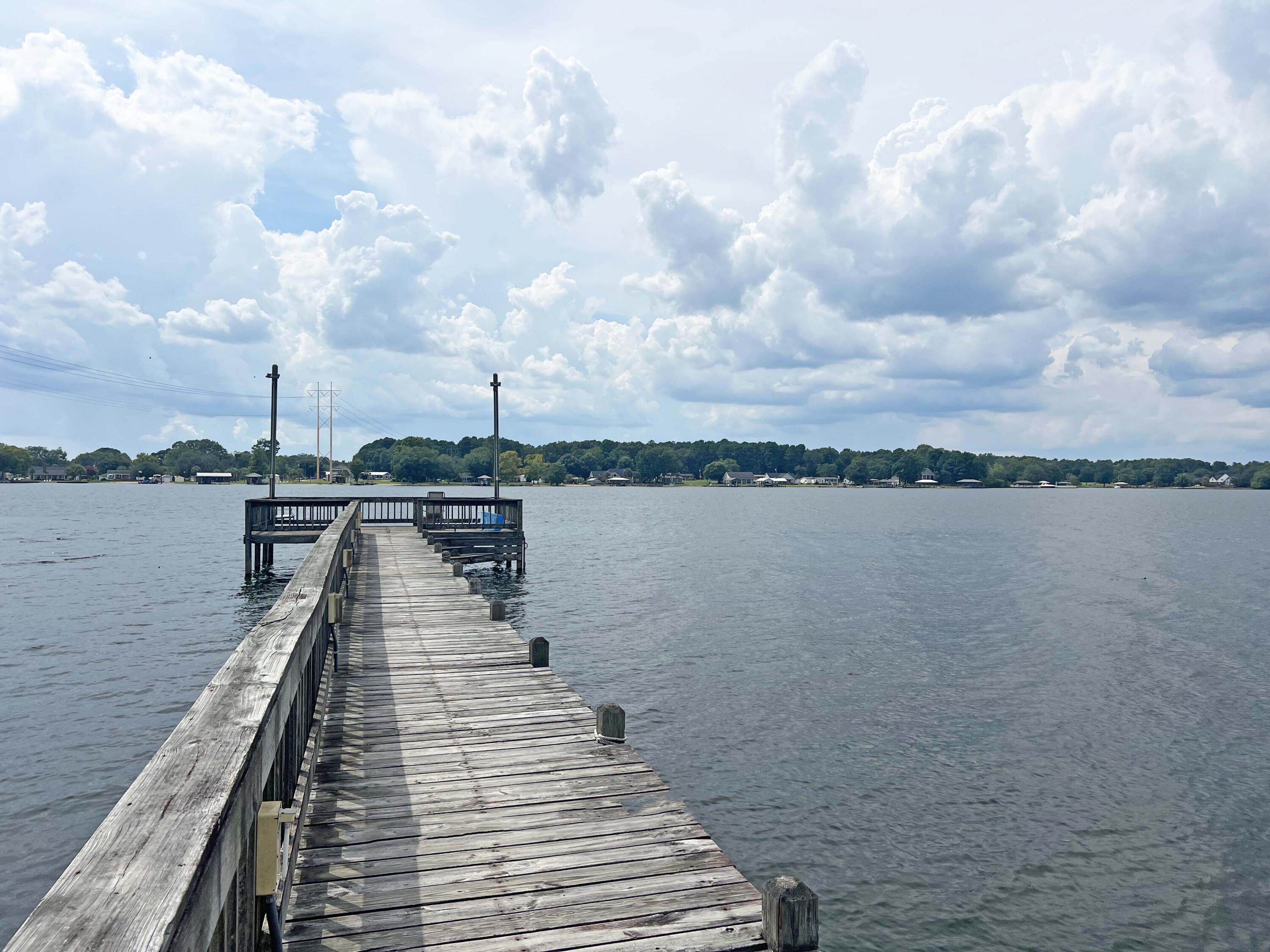 1156 West A. Gamble Road Manning, SC 29102 - Photo 18 of 51 19