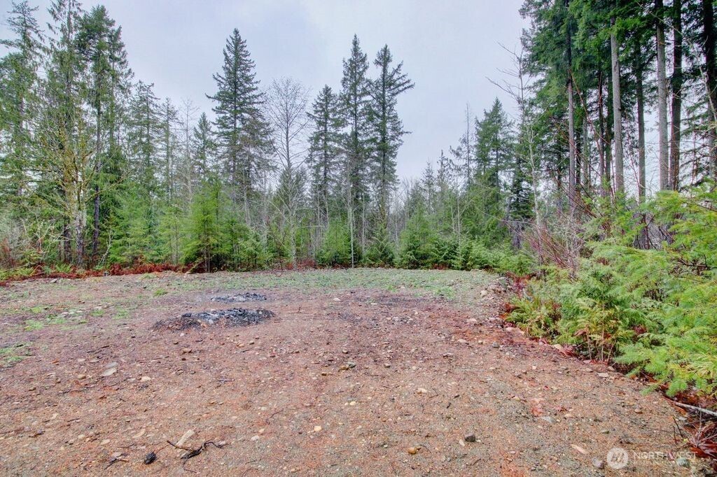 8583 Trillium Lane Concrete, WA 98237 - Photo 22 of 34