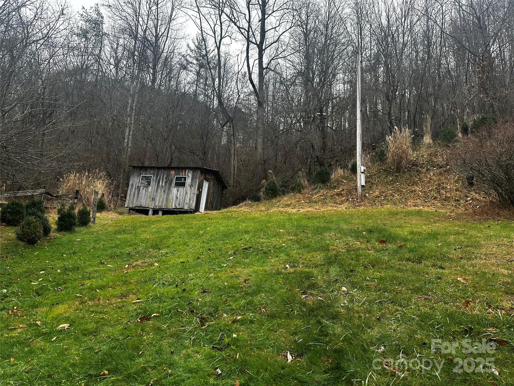 321 Raccoon Branch Rd Green Mountain Green Mountain, NC 28740 - Photo 14 of 18