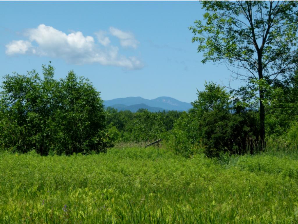 1111 Sand Road Ferrisburgh, VT 05456 - Photo 24 of 36