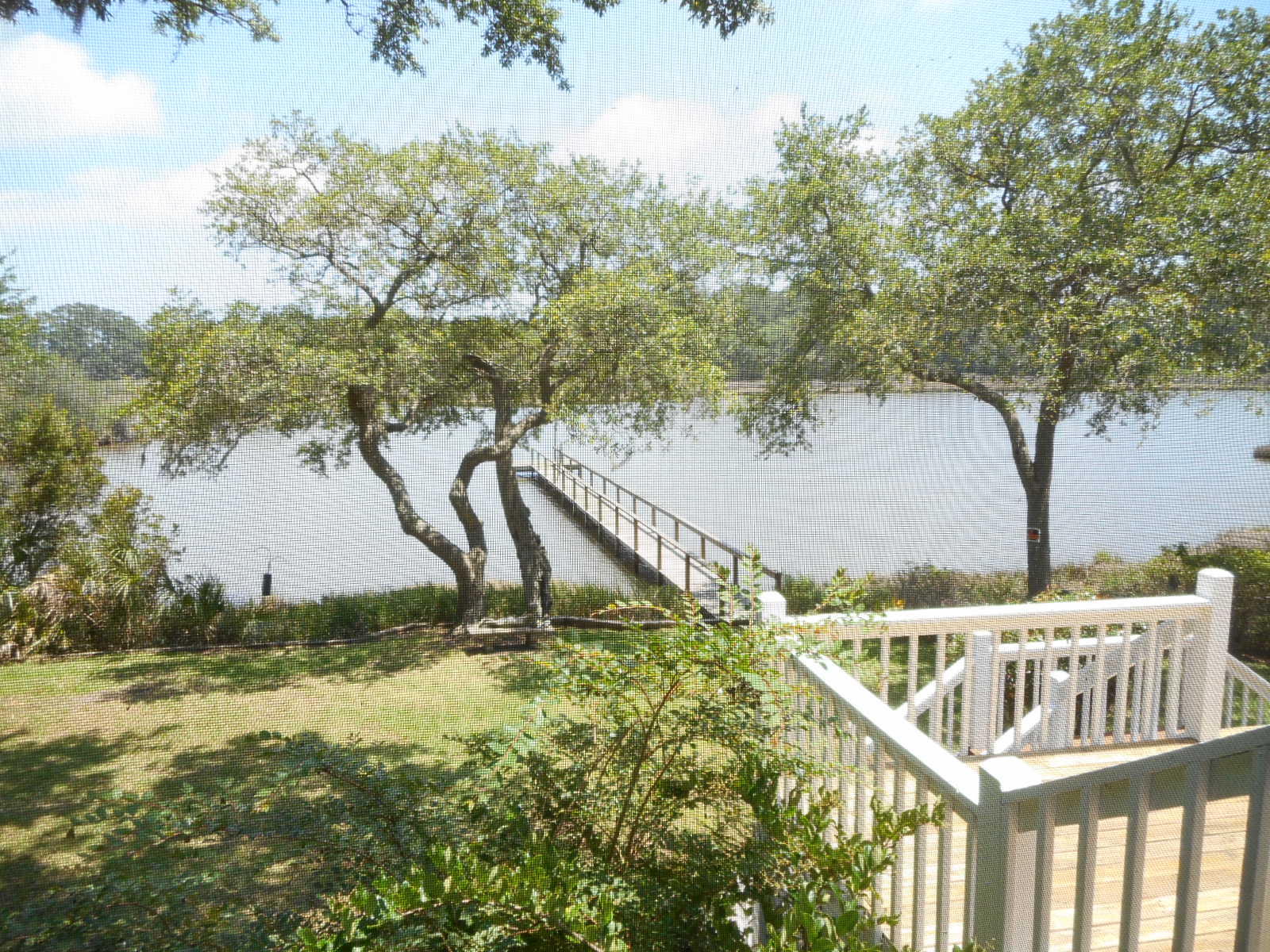 8952 Palmetto Road Edisto Island, SC 29438 - Photo 36 of 56 8952 Palmetto Road (32)